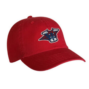 Houston Bulls Hat